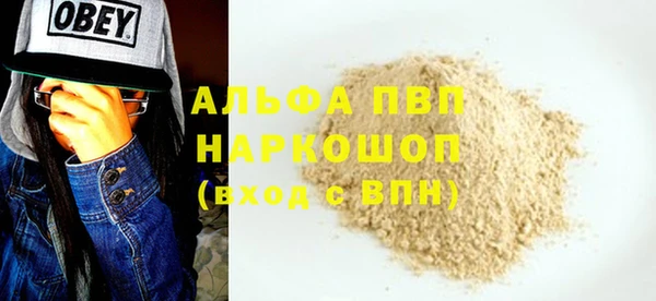 прущие грибы Балахна