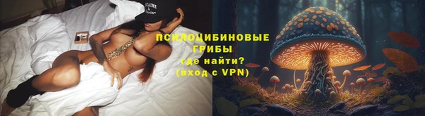 spice Балабаново