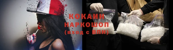 прущие грибы Балахна