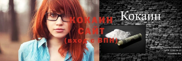 прущие грибы Балахна