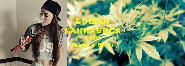 прущие грибы Балахна